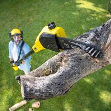  Lambertville, NJ Tree Services Pros